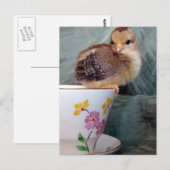 Kop op Cup Briefkaart (Voorkant / Achterkant)