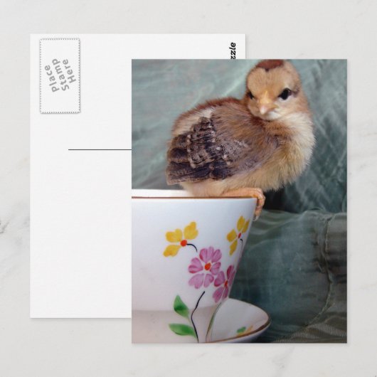 Kop op Cup Briefkaart (Voorkant / Achterkant)