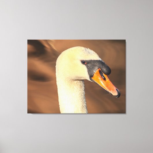 Kop Stomme Zwaan Portret Canvas Afdruk (Voorkant)