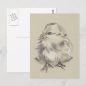 Kop Tekenen zwart en wit op Taupe Briefkaart (Voorkant / Achterkant)