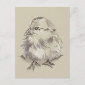 Kop Tekenen zwart en wit op Taupe Briefkaart (Voorkant)