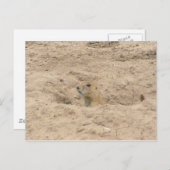 Kop uit de brand briefkaart (Voorkant / Achterkant)