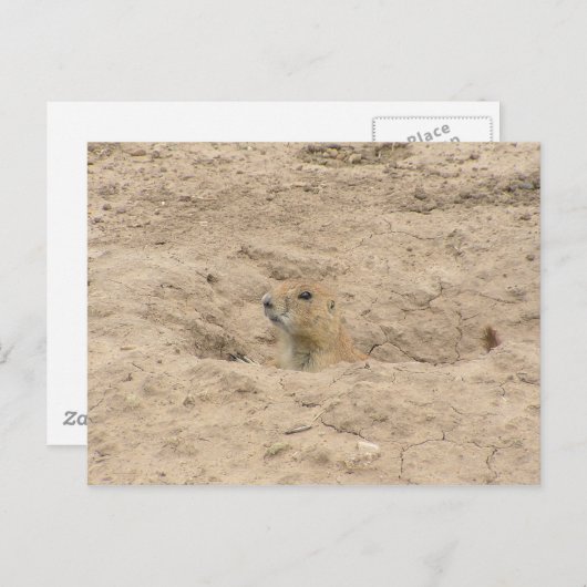 Kop uit de brand briefkaart (Voorkant / Achterkant)