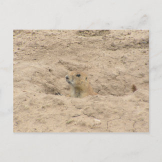 Kop uit de brand briefkaart