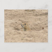 Kop uit de brand briefkaart (Voorkant)