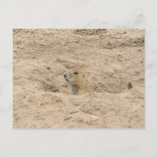 Kop uit de brand briefkaart (Voorkant)