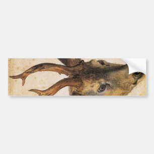Kop van een hert (wild dier) (door Albrecht Durer) Bumpersticker