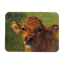 Kop van een Kalf (door Rosa Bonheur)