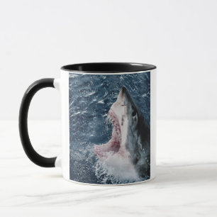 Kop van Grote Witte Haai