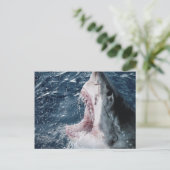 Kop van Grote Witte Haai Briefkaart (Staand voorkant)