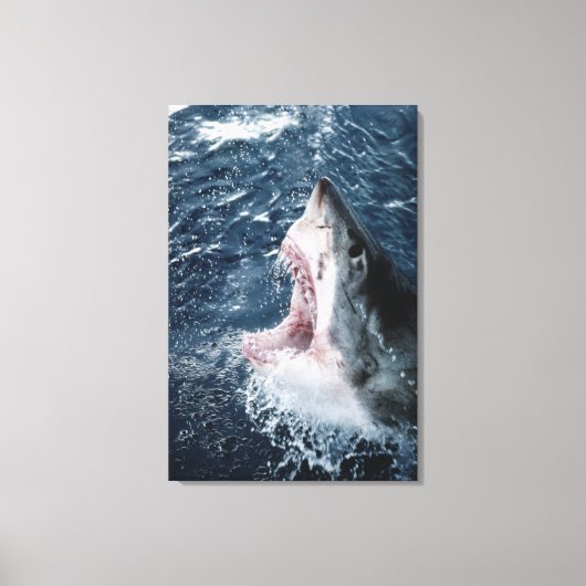 Kop van Grote Witte Haai Canvas Afdruk (Voorkant)