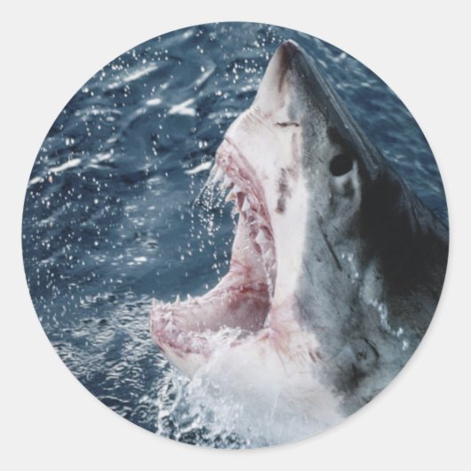 Kop van Grote Witte Haai Ronde Sticker (Voorkant)