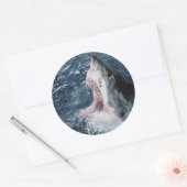 Kop van Grote Witte Haai Ronde Sticker (Envelop)