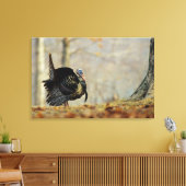 Kop van kalkoen pronkend, Illinois Canvas Afdruk (Insitu (Woonkamer))