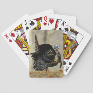 Kop van kalkoen pronkt, Illinois Pokerkaarten