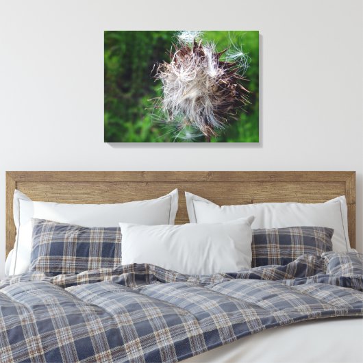 Kop van Speerdistel Canvas Afdruk (Insitu (Slaapkamer))