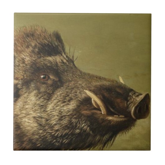 Kop van wild zwijn tegeltje (Voorkant)