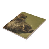 Kop van wild zwijn tegeltje (Zijkant)