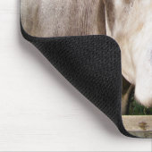 KOPEN MUISMAT (Hoek)