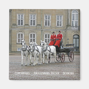Kopenhagen/Amalienborg Palace Magnet! Magneet