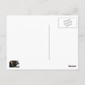 Kopenhagen Denemarken Briefkaart (Achterkant)