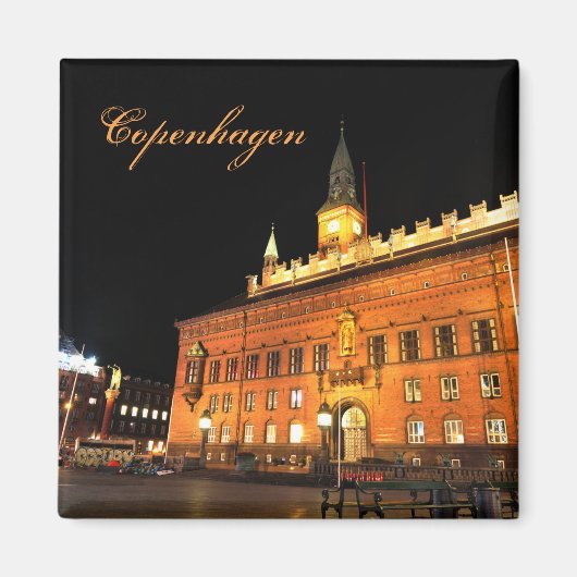 Kopenhagen, Denemarken 's nachts Magneet (Voorkant)