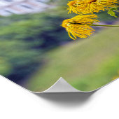 Kopenhagen, Denemarken, zonnebloemen Poster (Hoek)