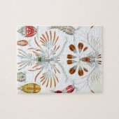  kopepodadieren door Ernst Haeckel Legpuzzel (Horizontaal)