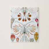  kopepodadieren door Ernst Haeckel Legpuzzel (Verticaal)