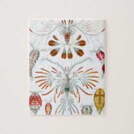  kopepodadieren door Ernst Haeckel Legpuzzel