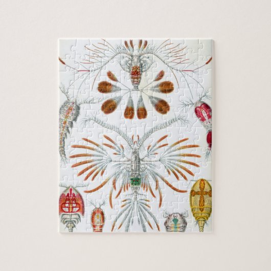  kopepodadieren door Ernst Haeckel Legpuzzel (Verticaal)