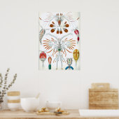  kopepodadieren door Ernst Haeckel Poster (Keuken)