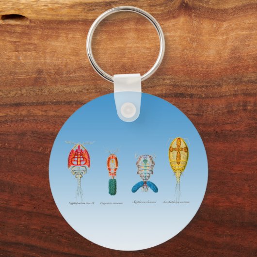 Kopepotigen Sleutelhanger (Voorkant)