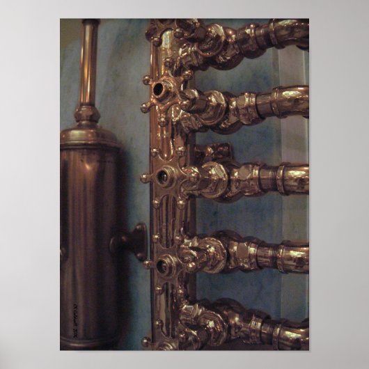 Koper Beauties Poster (Voorkant)