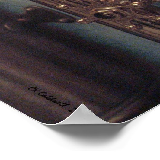 Koper Beauties Poster (Hoek)