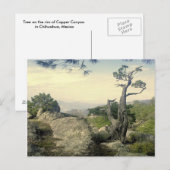 Koper Canyon-structuur Briefkaart (Voorkant / Achterkant)