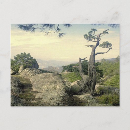 Koper Canyon-structuur Briefkaart (Voorkant)