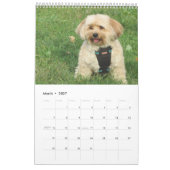 Koper de Havapookie-agenda Kalender (Mar 2027)