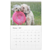 Koper de Havapookie-agenda Kalender (Feb 2027)