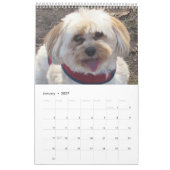 Koper de Havapookie-agenda Kalender (Jan 2027)