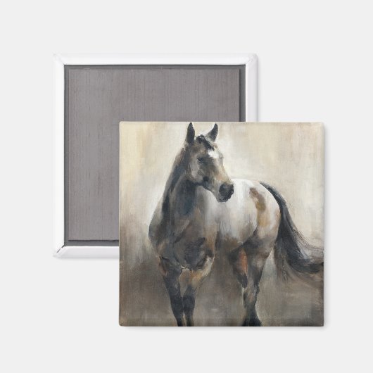 Koper en nikkel magneet (Voorkant / Achterkant)