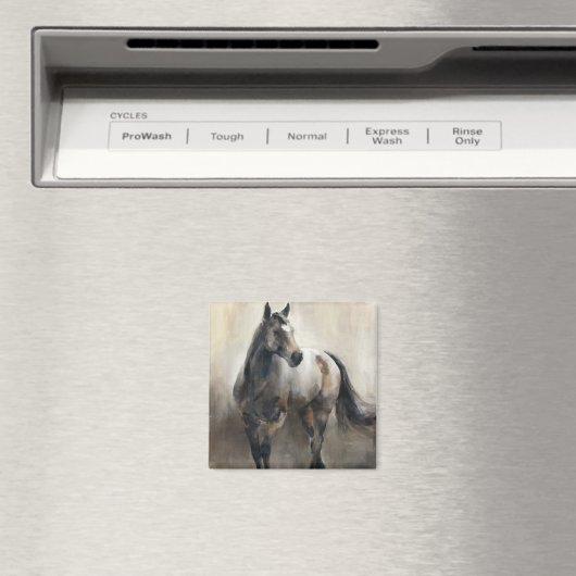 Koper en nikkel magneet (Insitu (Vaatwasser))