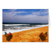 Koper gaat naar het strand (Voorkant Horizontaal)