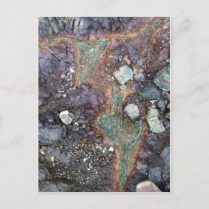 Koper Nieuw-Zeeland Briefkaart