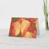 Koper Oranje Fall Leaves Art Note Card Kaart (Voorkant)
