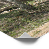 Koper Rood Poster (Hoek)