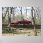 Koper Rood Poster (Voorkant)