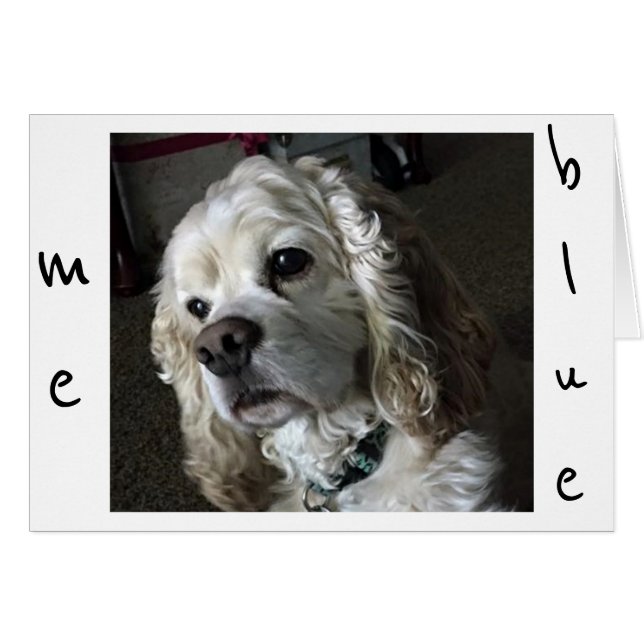 KOPER SPANIEL IS "BLUE" ZONDER "JIJ" (Voorkant Horizontaal)