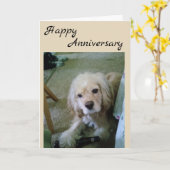 KOPER SPANIEL MET BEER-HAPPY-JUBILEUM KAART (Gele Bloem)