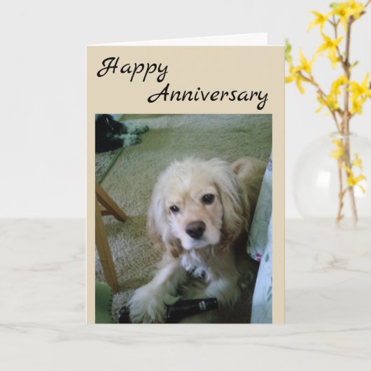 KOPER SPANIEL MET BEER-HAPPY-JUBILEUM KAART (Gele Bloem)